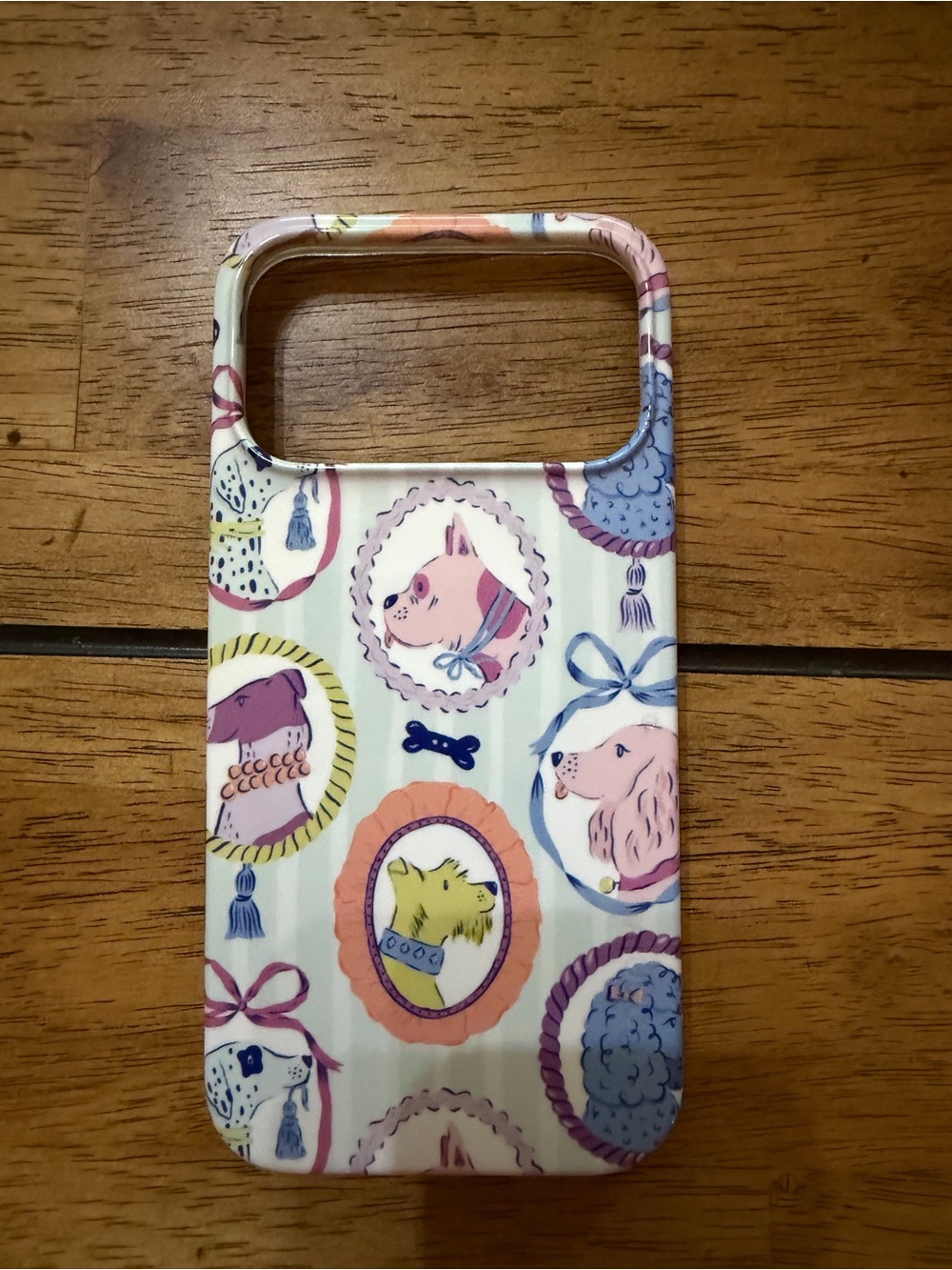 Casely MagSafe iPhone 17 Pro Max Case